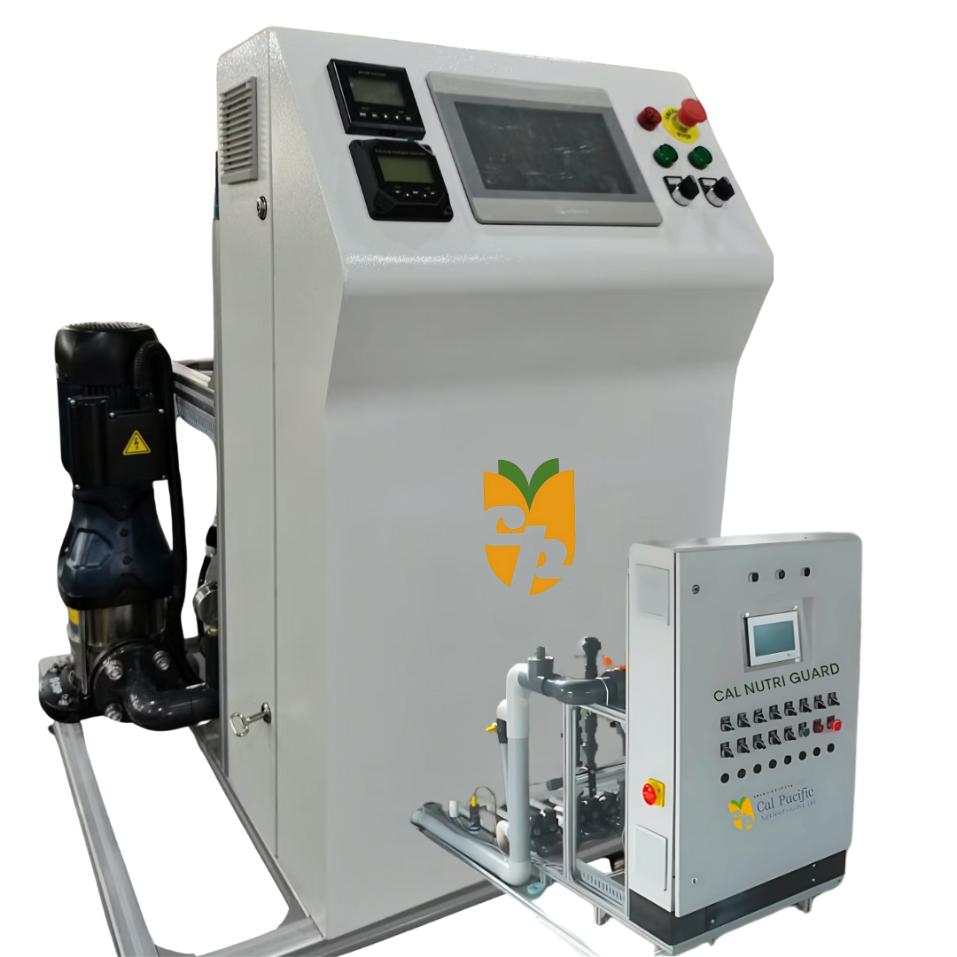 Precision Fertigation Systems for Berry Farming | Cal Pacific