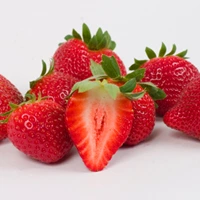 Winter Dawn strawberry variety developed by University of Florida for early season production