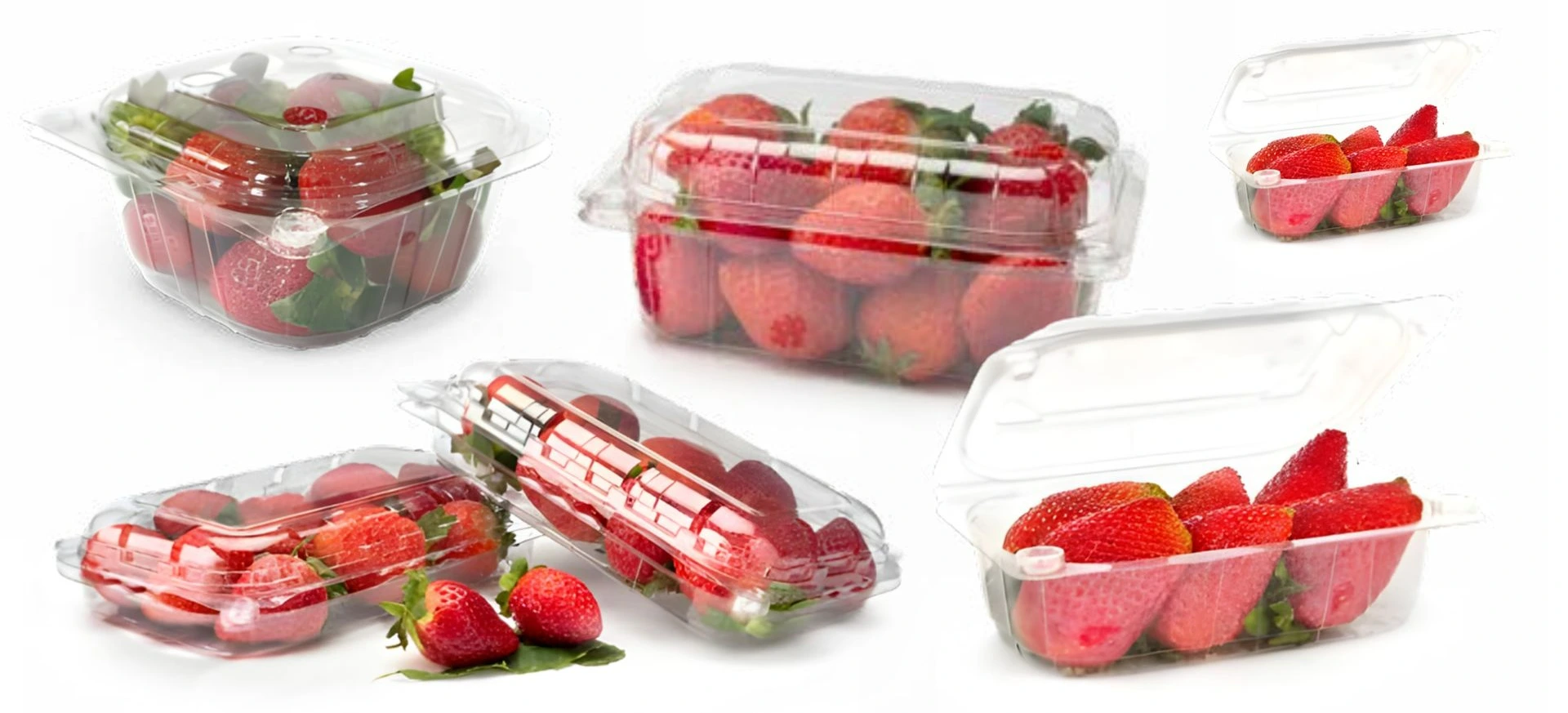 Strawberry punnet packaging sizes for retail Different sizes of strawberry punnets used for fresh fruit packaging and retail sale