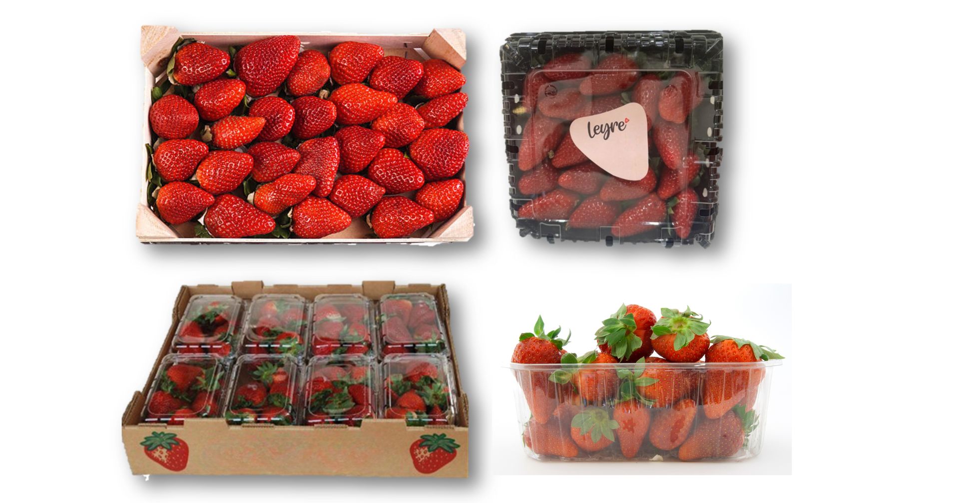 Strawberry packaging punnets – size options for market Various strawberry punnet sizes used in India for fresh fruit packaging and transport