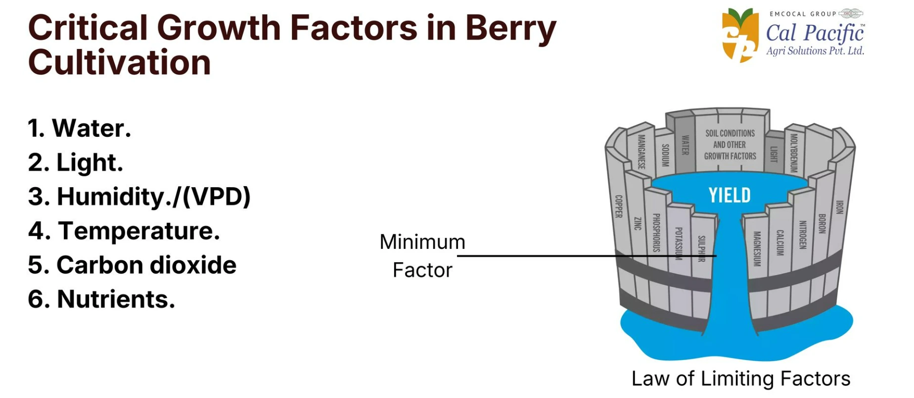 Critical Growth Factors in Berry Cultivation “Critical growth factors in berry cultivation including water, light, humidity (VPD), temperature, carbon dioxide, and nutrients based on the law of limiting factors