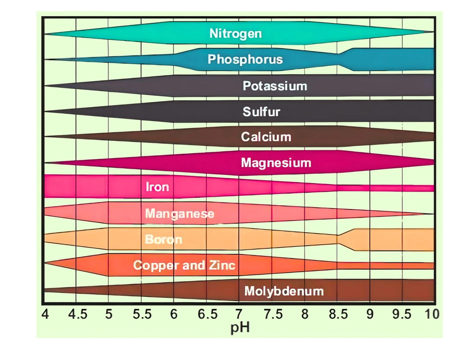 pH Impact on Nutrient Availability in Plants Effect of pH on nutrient availability showing how macronutrients and micronutrients vary across pH levels
