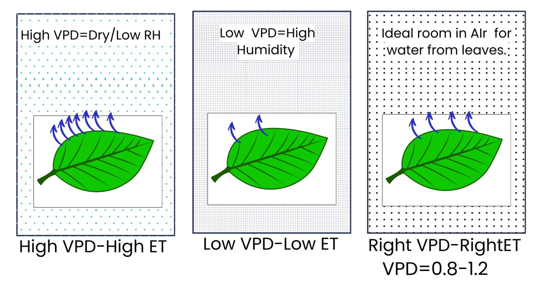 Humidity and Moisture Representation for VPD in Plants Water surface and moisture levels representing humidity conditions for understanding VPD in plant growth