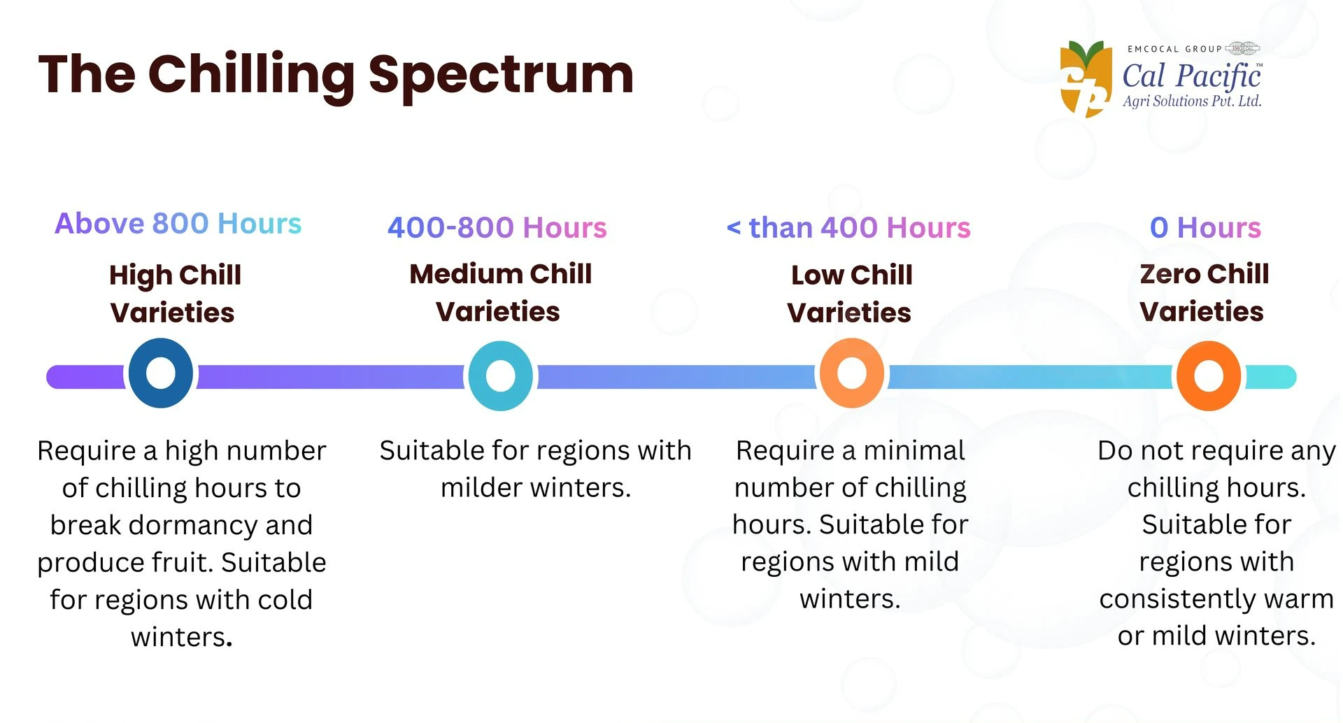 Blueberry Chilling requirements , Chilling Spectrum. Image showcases the various types of chilling requirement for blueberry from zero chill, low chill. medium chill and the high chill varieties.