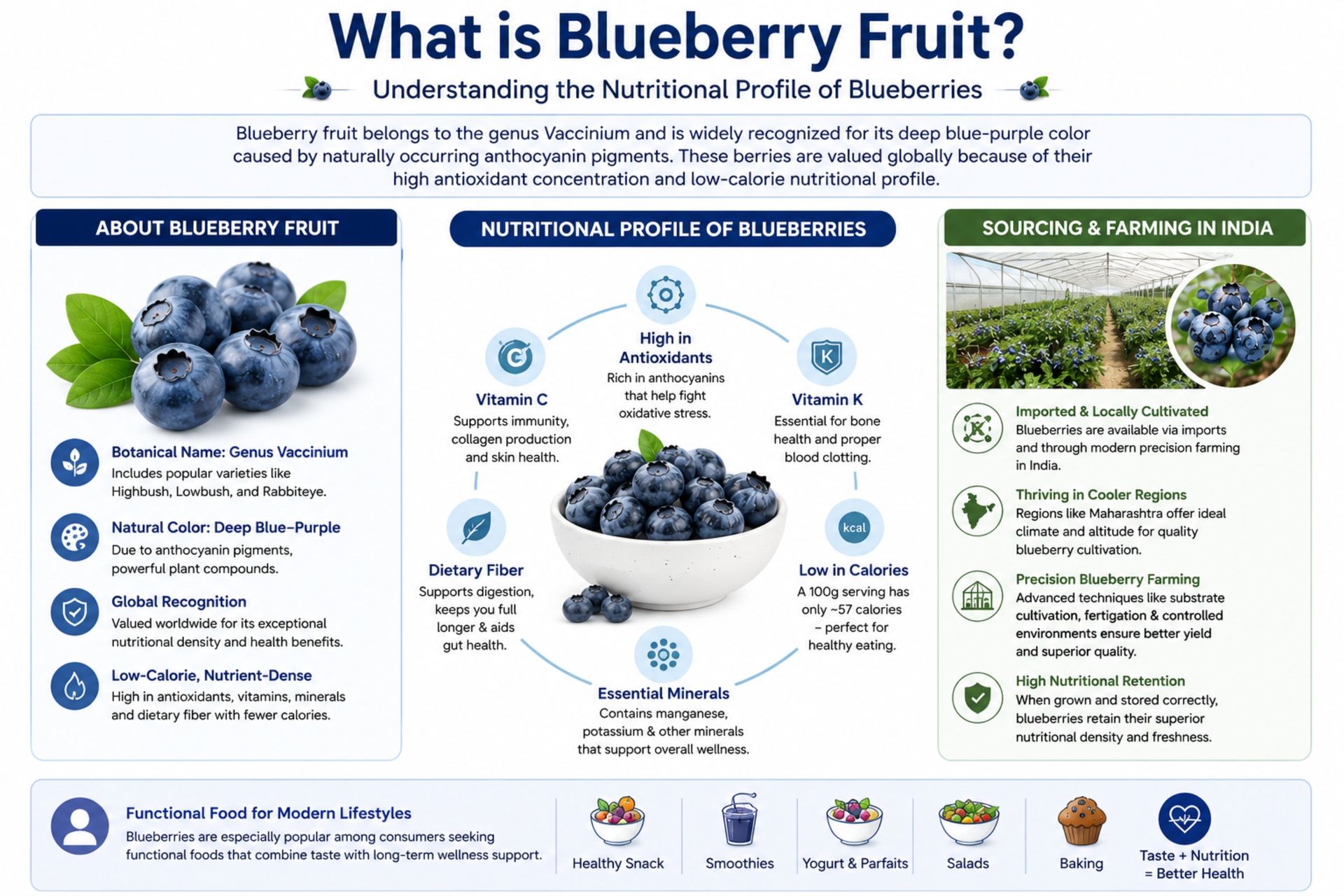 Infographic explaining blueberry fruit nutritional profile, antioxidants, vitamins, fiber content, and blueberry farming in India