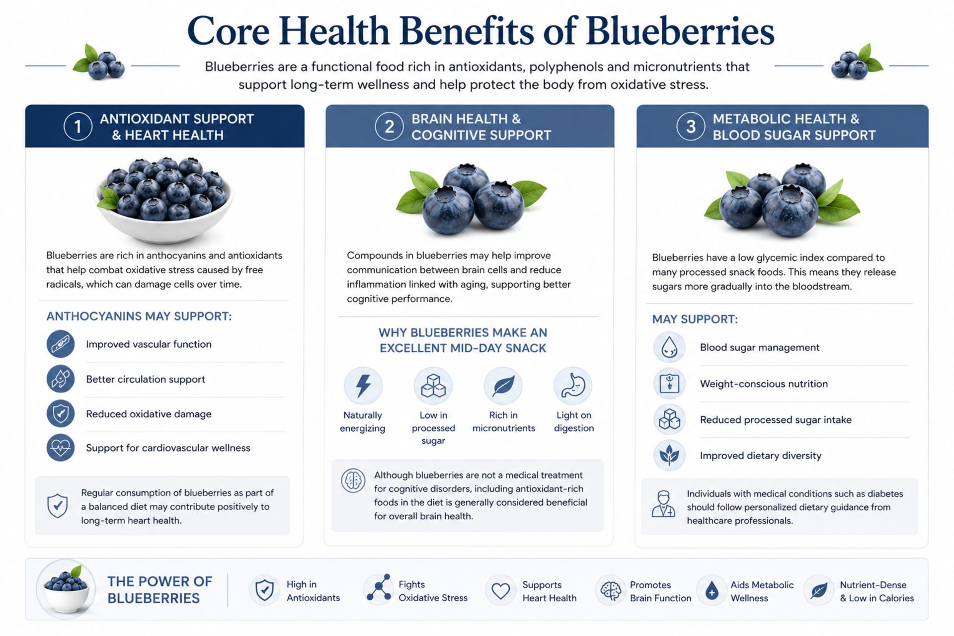 Professional infographic explaining the core health benefits of blueberries including antioxidant support, brain health, and metabolic wellness