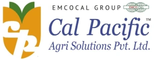 Cal Pacific Agri Solutions Private Limited 